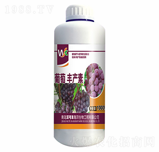 �����S�a(ch��n)��-�ֿ��S