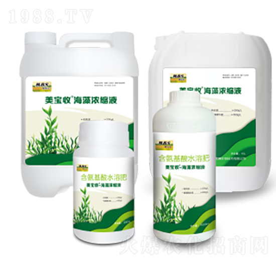 海藻濃縮液-美寶收-滿穗生物