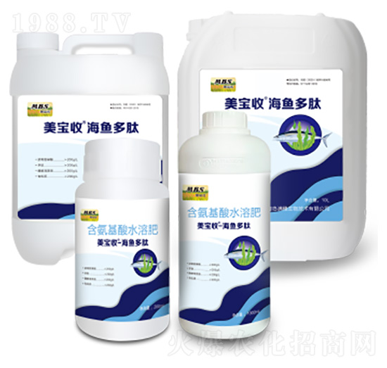 海魚多肽-美寶收-滿穗生物