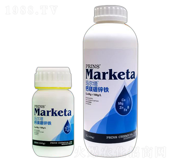 �}�V���\�F-������-Ӣ��(gu��)����˹