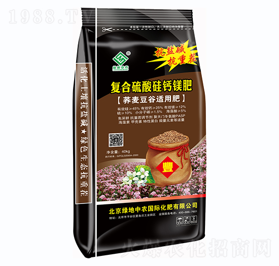 �ͺ�������}�V��-�G�����r(n��ng)