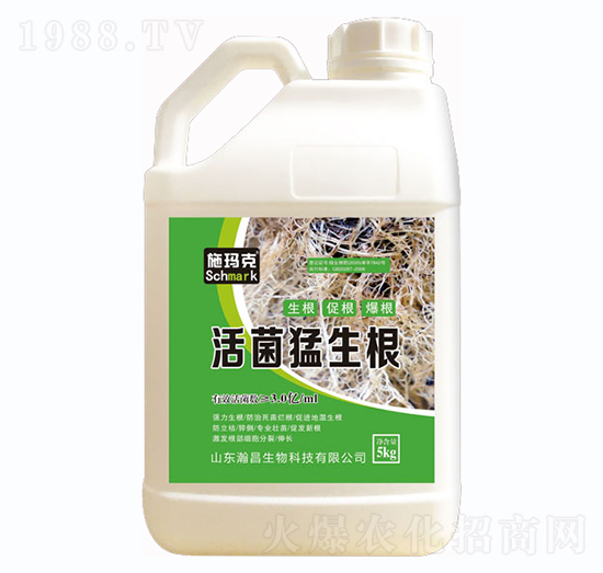 ʩ���ˡ����������-嫲�����