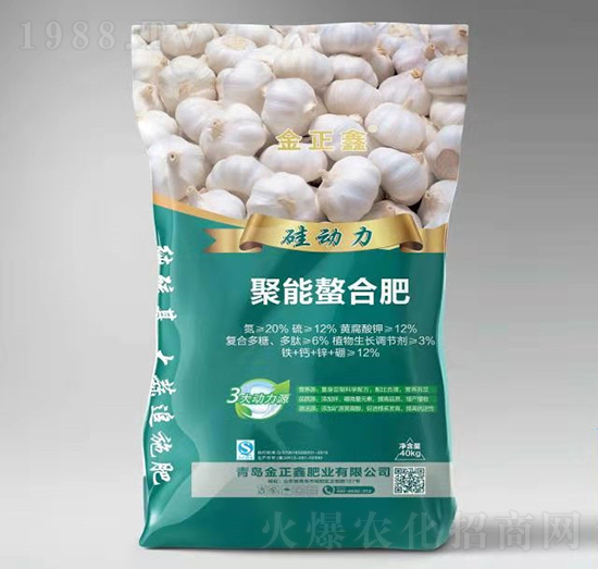 �������Ϸ�-������