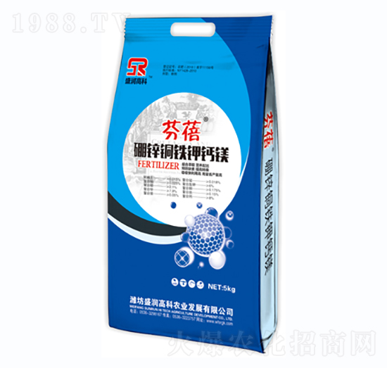 ���\�~�F��}�V-����-ʢ���߿�