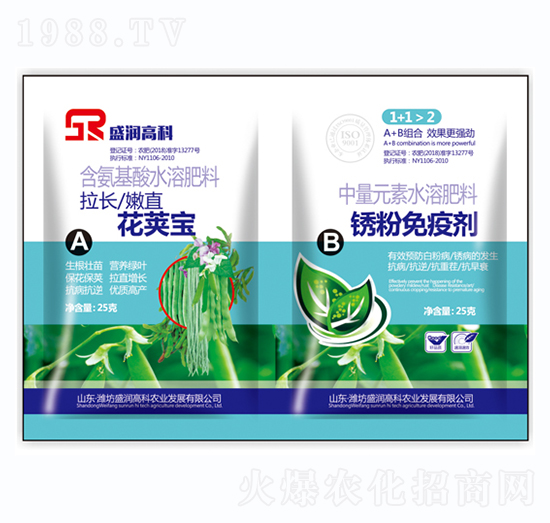 ���v��+���P���߄�-ʢ���߿�