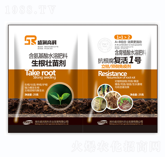 �������焩+��������(f��)��1̖(h��o)-ʢ��(r��n)�߿�