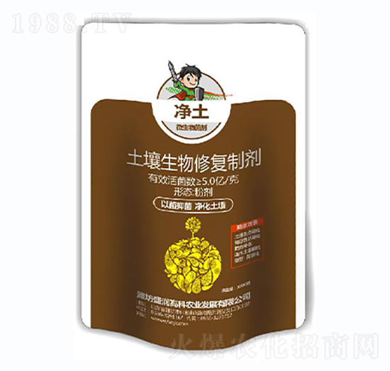 ���������ޏ�(f��)�Ƅ�-����������-ʢ��(r��n)�߿�