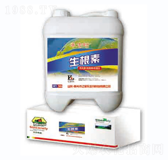 ������-����-�|�Ҙ�