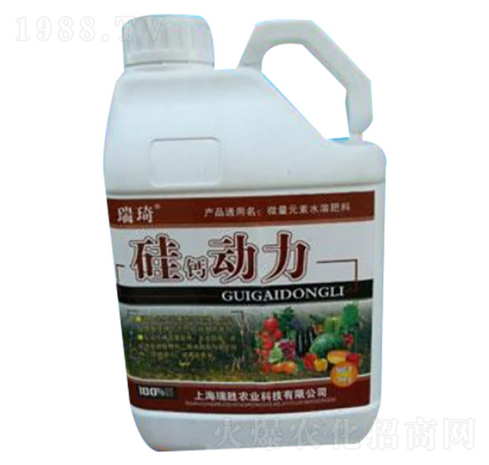 ���}����-����-�����r(n��ng)�I(y��)