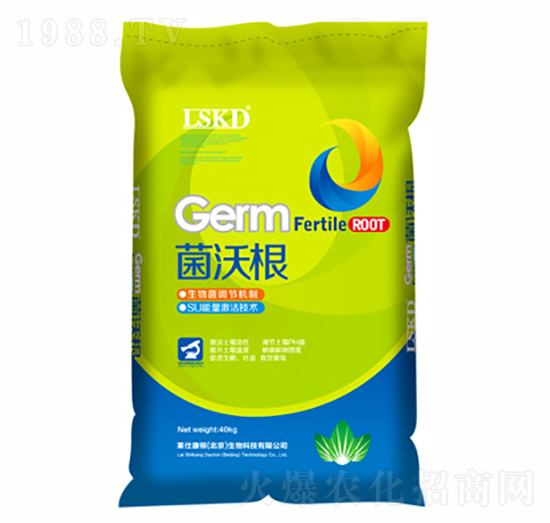 ���ָ�-�R�˿��D