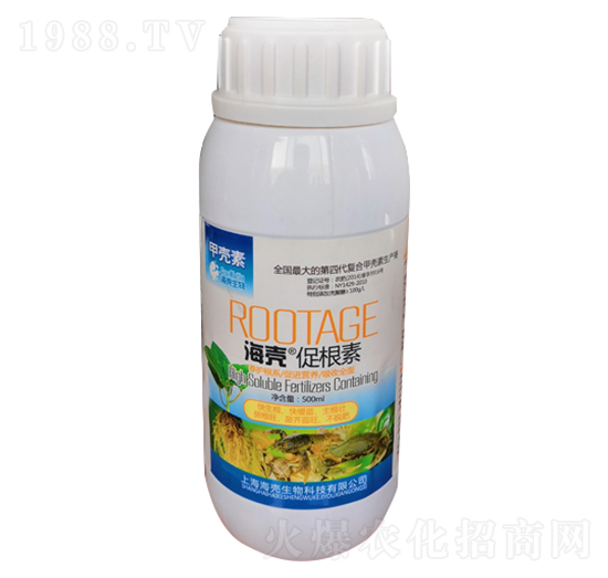 �����ٸ���-��������