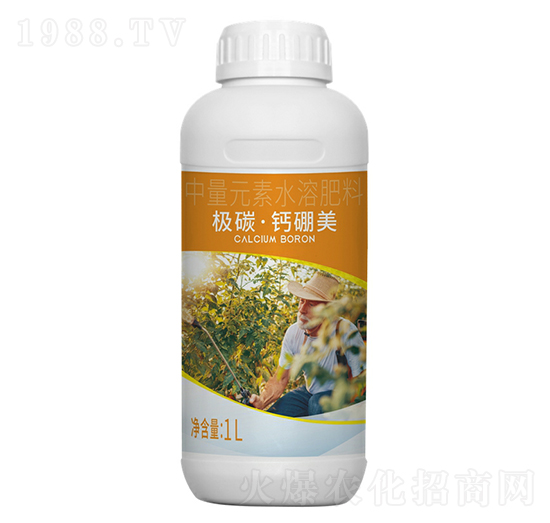 �O̼���}����-һ��