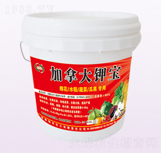 ���ô�⛌�-���r����