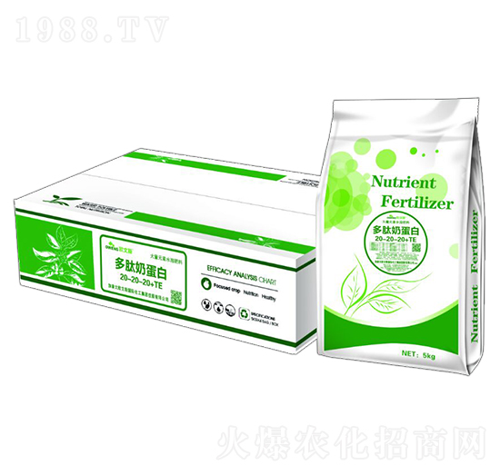 �����̵���-�W��˹