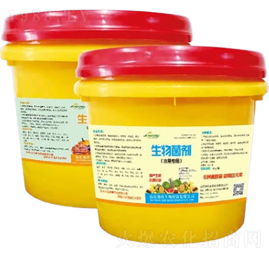 �������-�ؾ�����