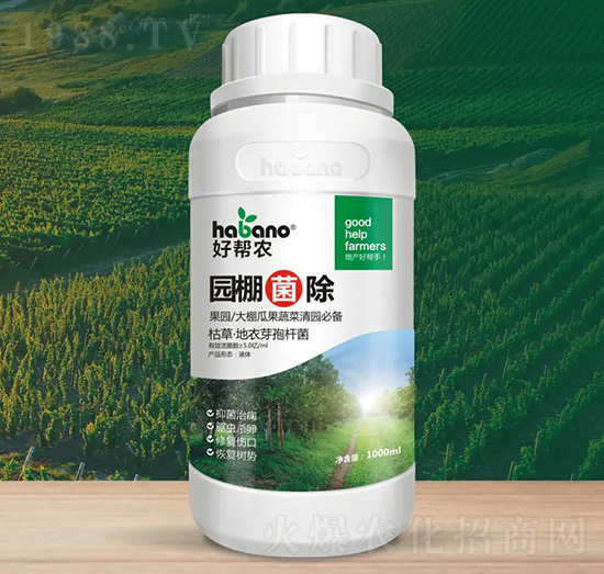 �@�����-�Î��r