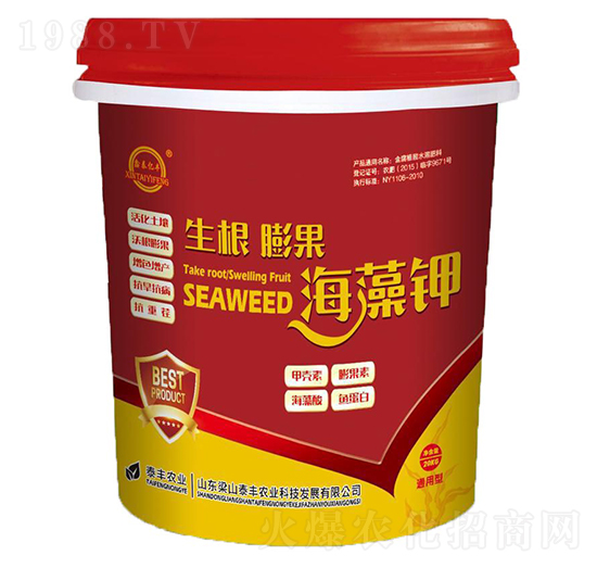 ������������-��ɽ̩�S