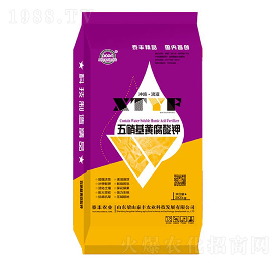 �������S�����-��ɽ̩�S