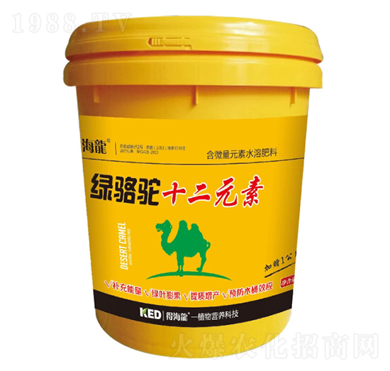 �G��ʮ��Ԫ��Ͱ��-�ú���-������