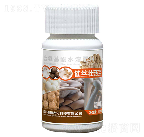 �߽z�ѹ���-����