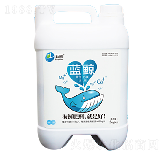 �{�L�����}�V-�儓(chu��ng)