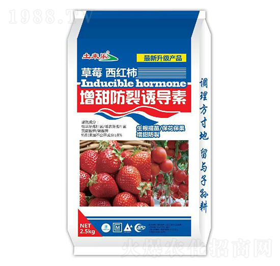 ��ݮ���t����������T��(d��o)��-���혷