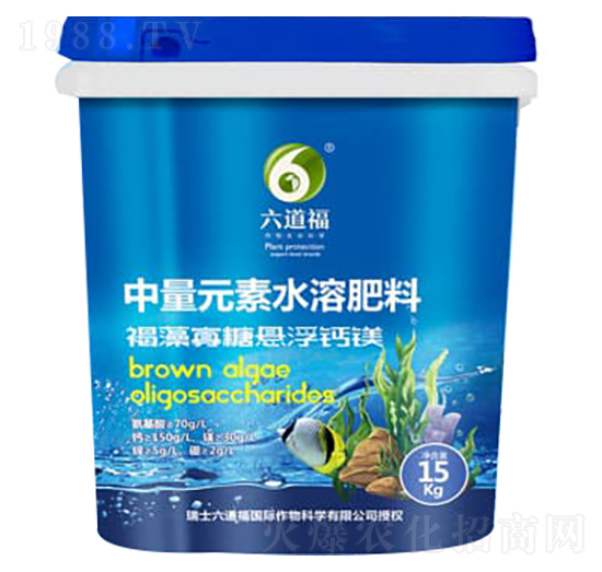 ������ǑҸ��}�V-������