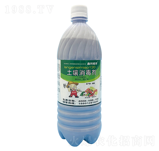 ����������-�ο�ֲ��