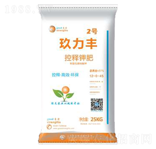 �����S��������2̖-����