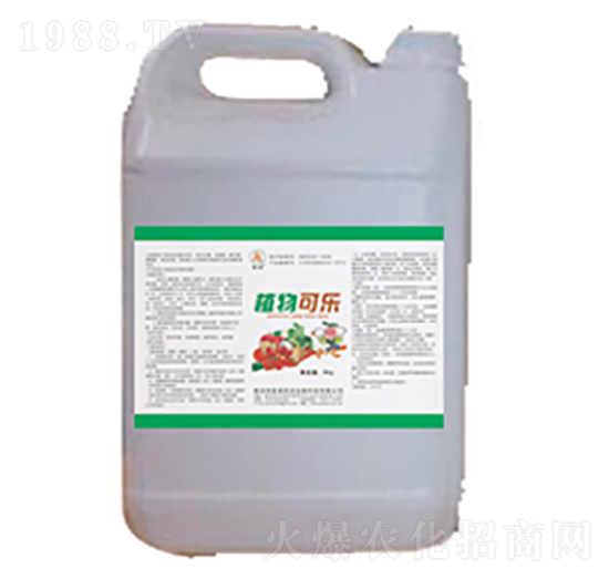 ֲ��ɘ�-��(gu��)̩��