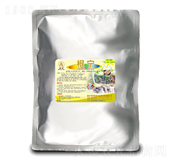 ����-��̩��