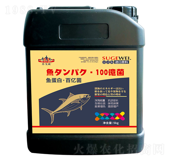 �~���ס��ك|��-ɽ�|�������