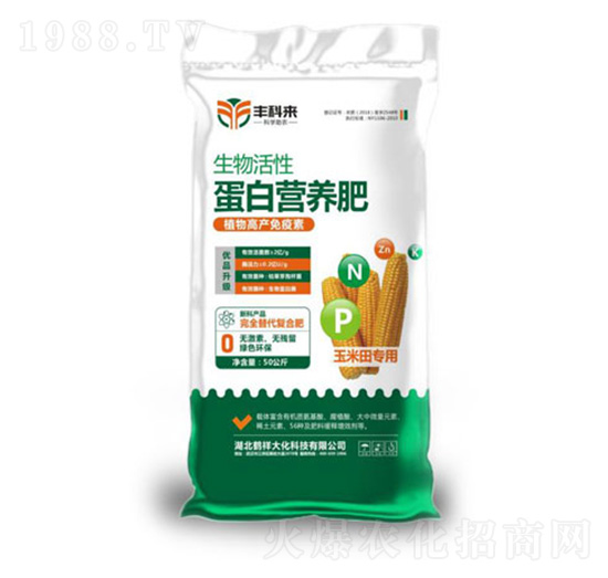 ������Ե��נI(y��ng)�B(y��ng)�ʣ������(zhu��n)�ã�-�S�Ɓ�(l��i)-������