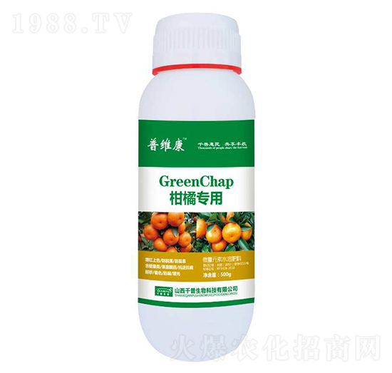 ���ٌ����~���-�վS��-ǧ������