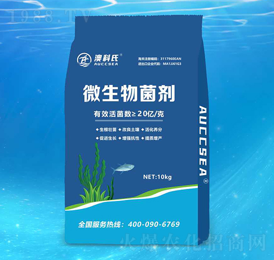 ΢�������-�Ŀ���