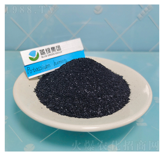 ��ֳ���-��(��i)��˹����