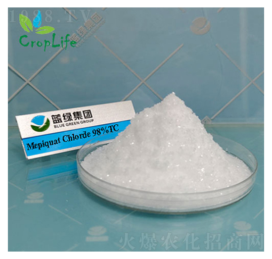 �s��(ji��)���������ˣ�-��(��i)��˹����