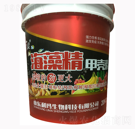 ���徫�ך���-�S���`-��������