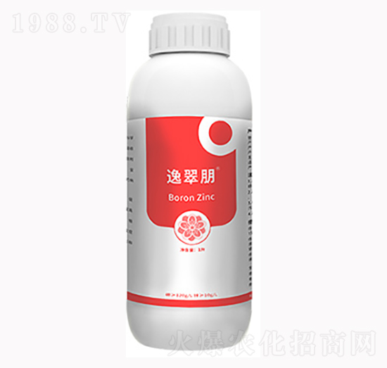 �ݴ���-���_