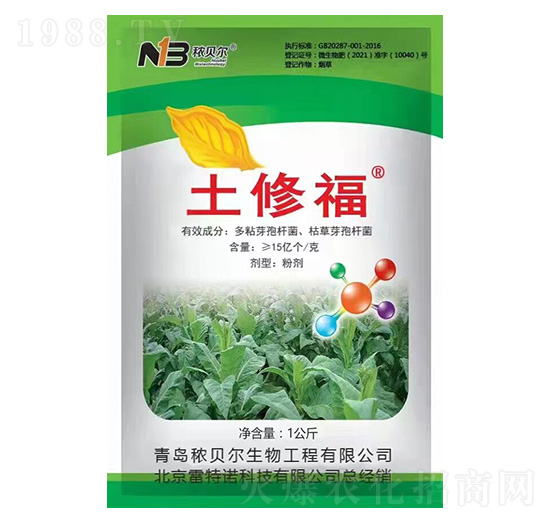 ���޸�-��ؐ��