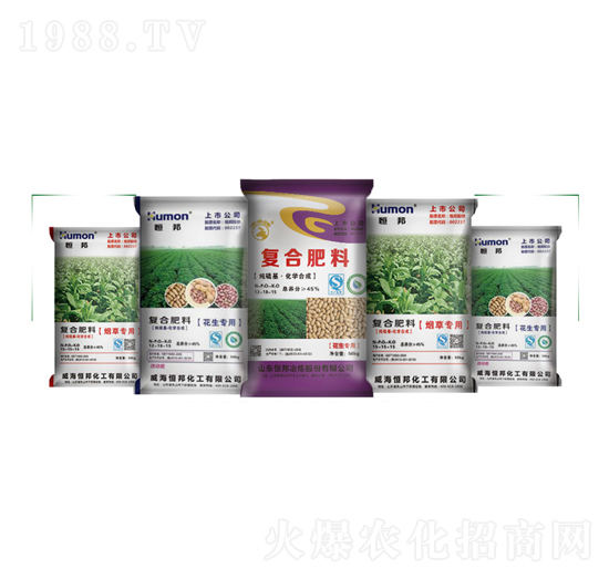 ���Ï�(f��)�Ϸ���-����