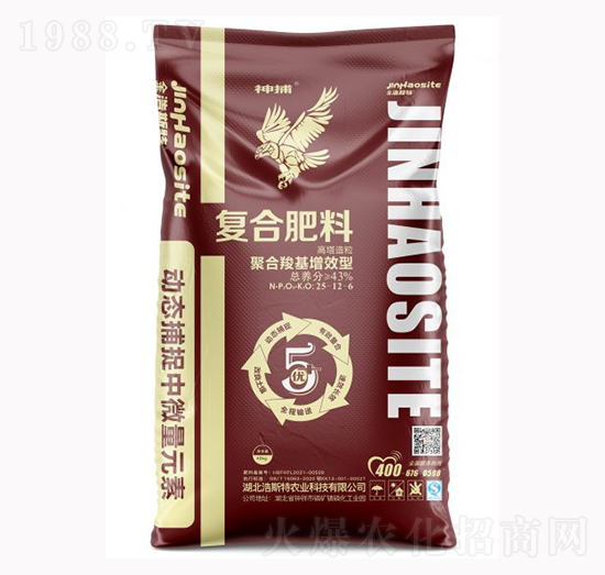 �񲶏ͺϷ���25-12-6-����