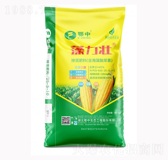 �����ѓ������25-5-10-����