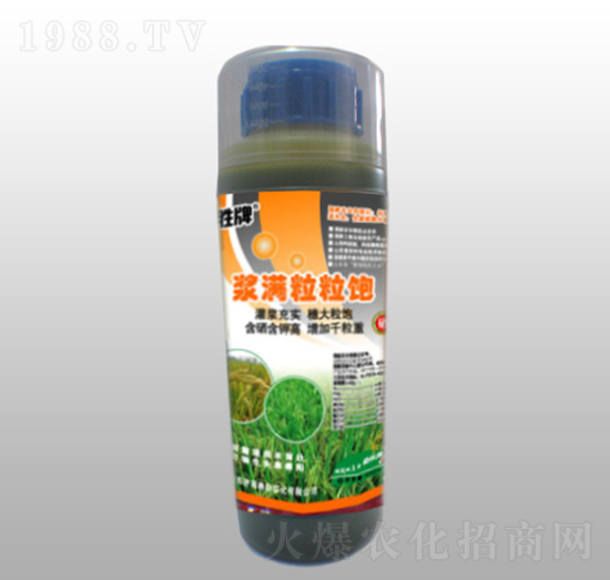 �{�M�����-ِ��r��