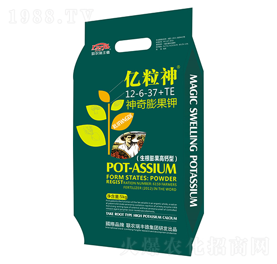 ��������12-6-37+TE-�|����-���S��