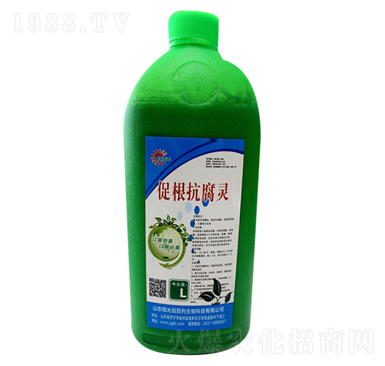 �ٸ������`-ꖹ�Ӱ���