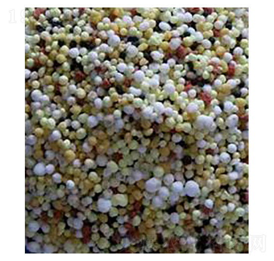 С�������-��ʢ�r�I(y��)