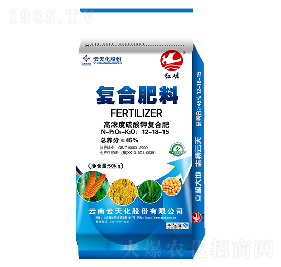 ������͏ͺϷ�12-18-15-�t��-���o����