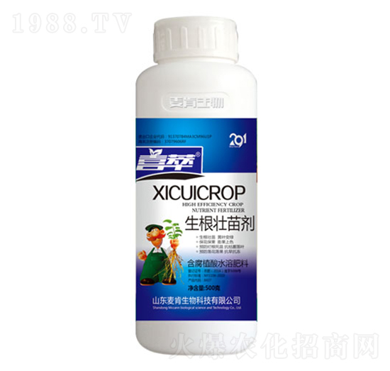 �������焩-��������