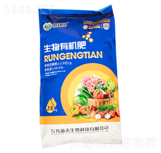 �����ЙC(j��)����-��(r��n)����-��������